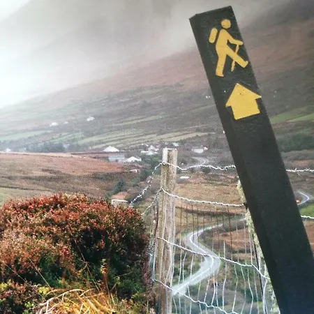The At Belfield Tralee