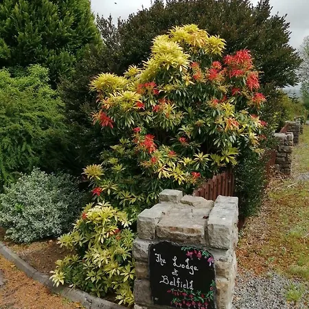 The At Belfield * Tralee