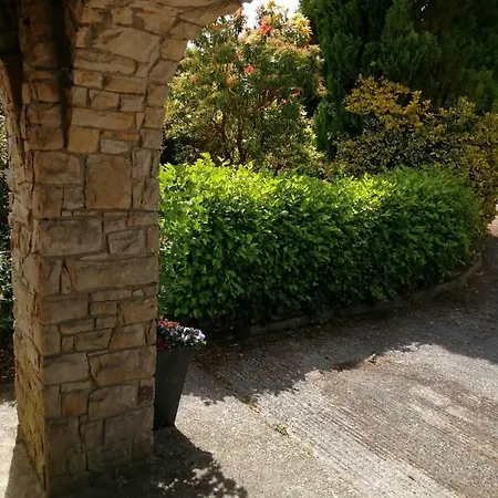 The At Belfield * Tralee