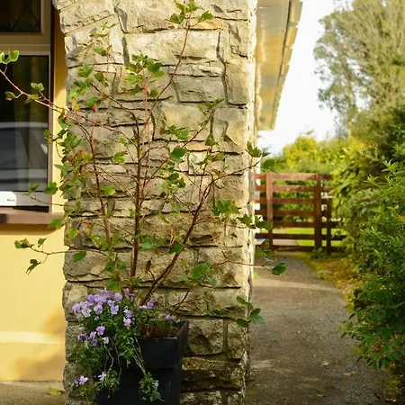 Apartman The At Belfield *